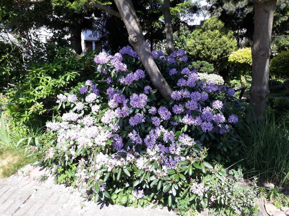 Villa Jaskolka 미엥지즈드로예 외부 사진
