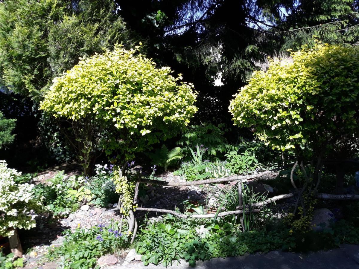 Villa Jaskolka 미엥지즈드로예 외부 사진