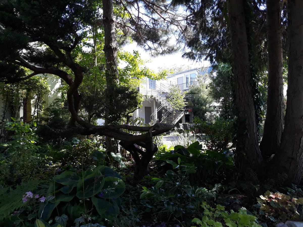Villa Jaskolka 미엥지즈드로예 외부 사진