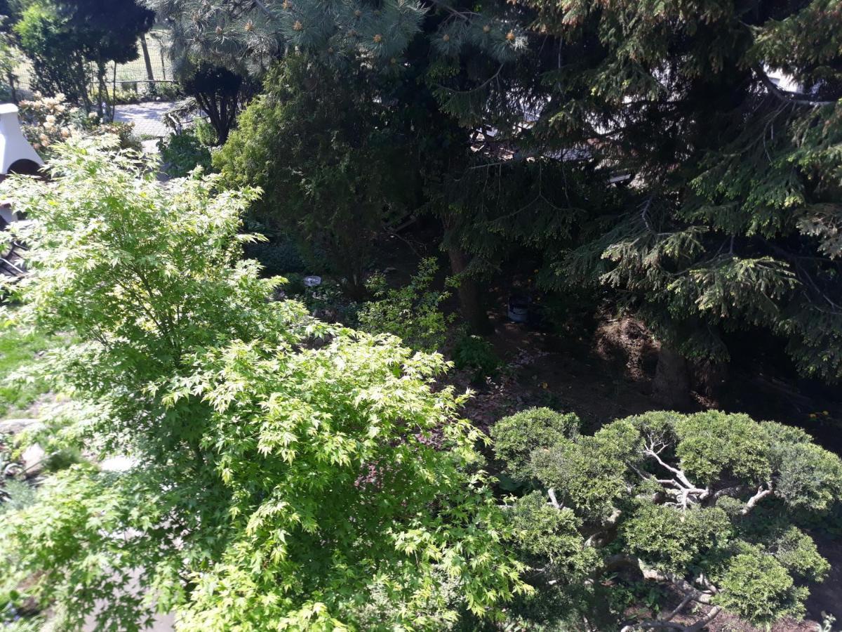 Villa Jaskolka 미엥지즈드로예 외부 사진